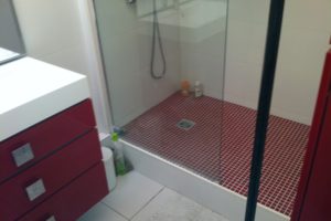 Création , remplacement baignoire par douche 91250 ST Germain les Corbeil